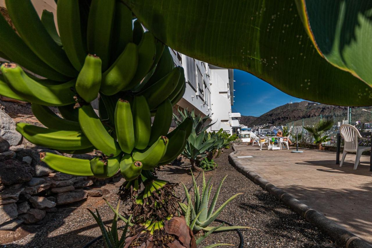 Puerto Rico Corner Διαμέρισμα Εξωτερικό φωτογραφία